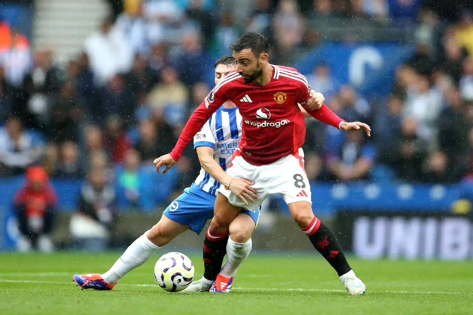 发展正趋向 发展正趋向