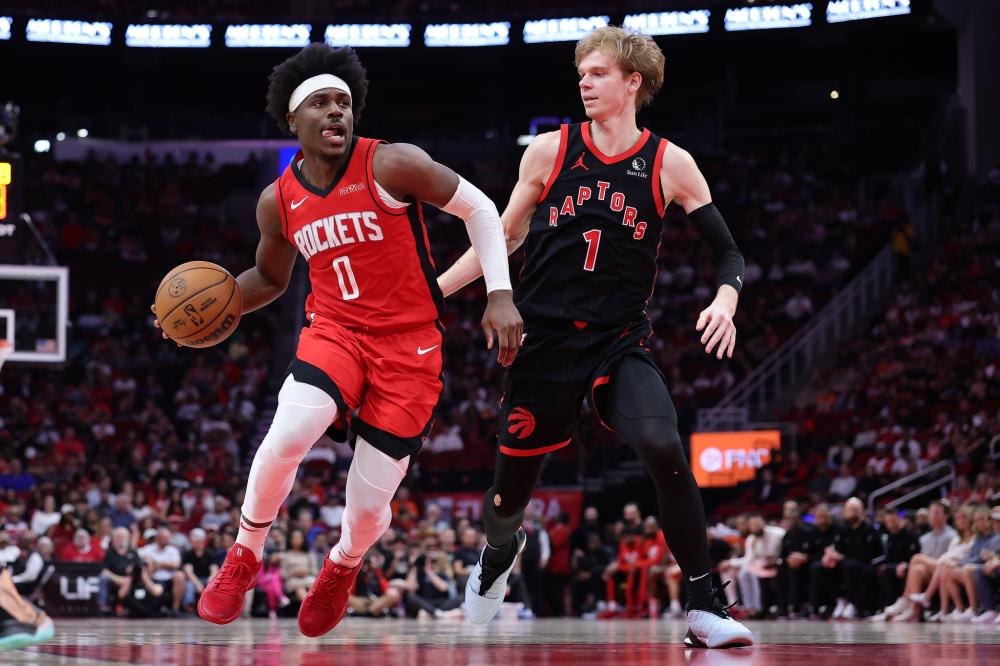 年的世界羽 年的世界羽